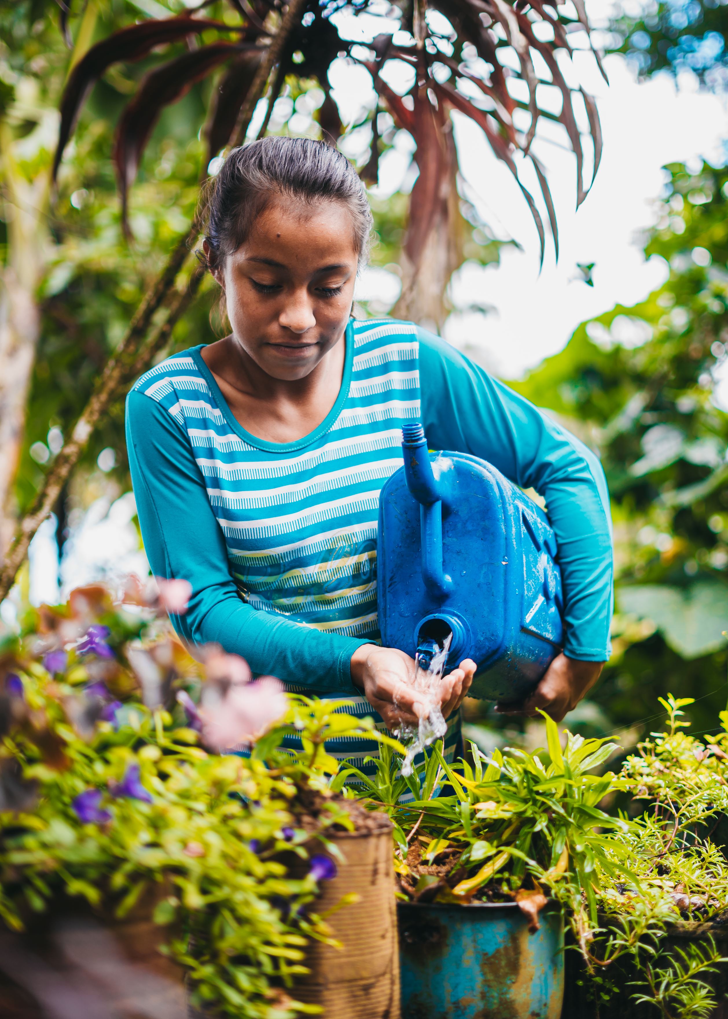 Ni&ntilde;a hondure&ntilde;a con camisa de rayas azules regando sus plantas con una tina de agua